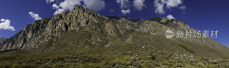 橡胶Rabbitbrush;Chrysothamnus nauseosus;松溪峡谷;阴阳县NF;惠勒脊;东内华达山脉;加州，黄色，岩石，山脊